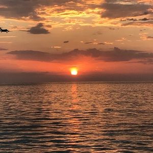 Meet your Posher, Simone